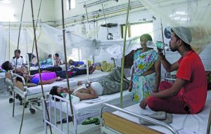 Delhi hospitals are swamped with dengue and chikungunya cases each year. Photo: Anil Shakya