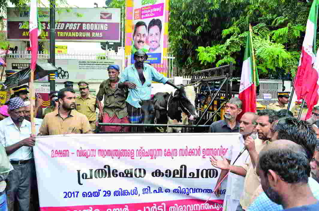 A symbolic cattle market organised in Thiruvananthapuram to protest against the cow slaughter rules. Photo: UNI