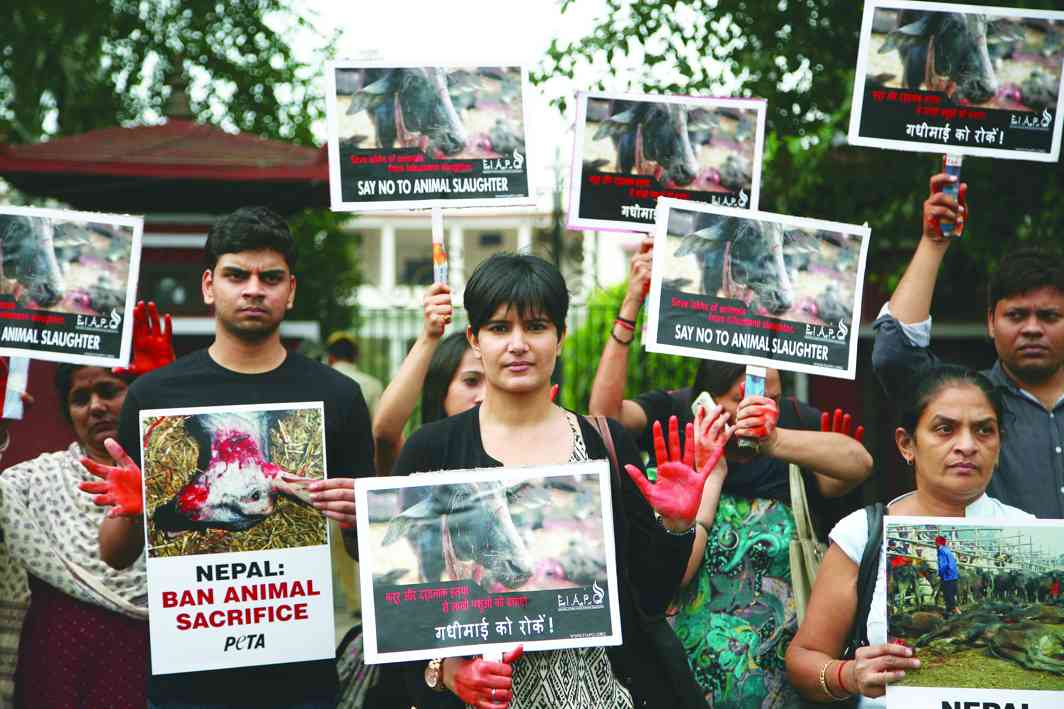 Activists in Delhi protest against the Nepalese Gadhimai festival where animals are sacrificed. Photo: Anil Shakya