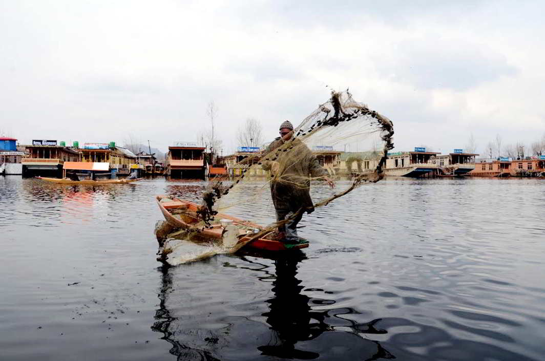 CAST AWAY: A Kashmiri fisherman throws a net from a shikara at world-famous Dal Lake in Srinagar, UNI