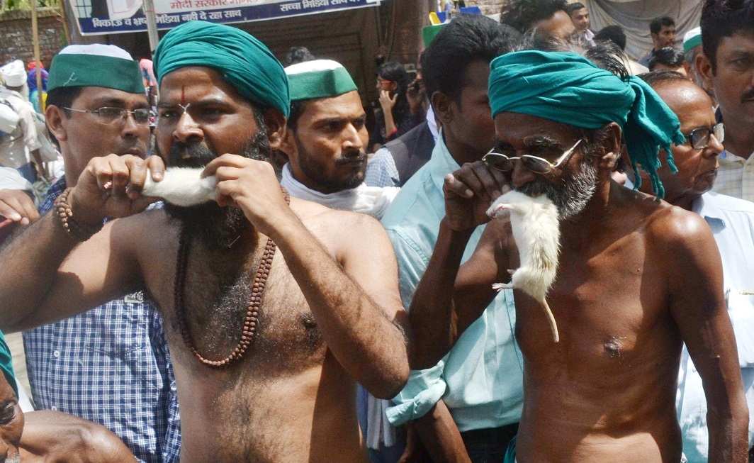 NO WORDS REQUIRED: Farmers from Cauvery Delta districts of Tamil Nadu stage a demonstration demanding loan waiver at Jantar Mantar, in New Delhi, UNI