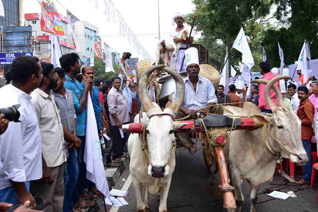 TAKE THE STREETS: Members of all Kerala Cattlers Association staging a protest against 18 percent GST and hike of LPG price, in Thiruvananthapuram, UNI