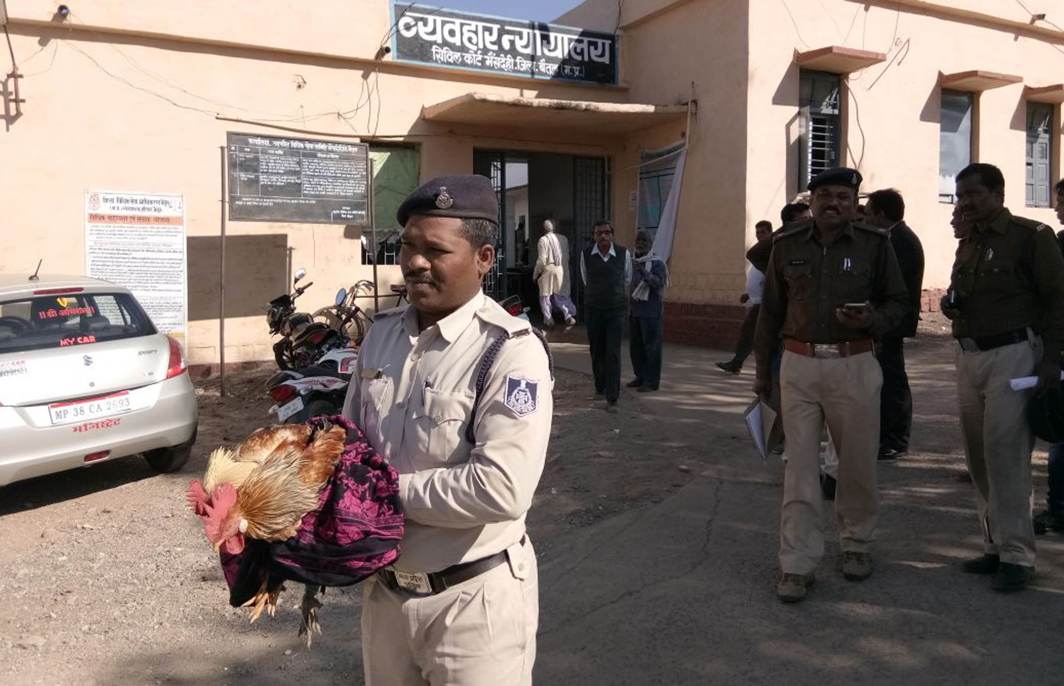 STRANGE ATTENDEE: A policeman carries a cock at the court premises after its appearance in a gambling case at Bhainsdehi court in Betul district of Madhya Pradesh, UNI