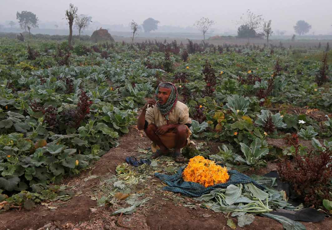 KEEP CLEAN: A farmer brushes his teeth with a neem twig in his vegetable field in Kolkata, India, Reuters/UNI